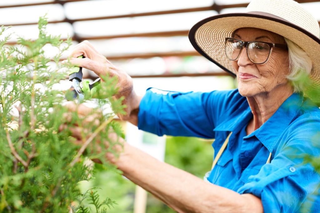 Senior woman trimming plants