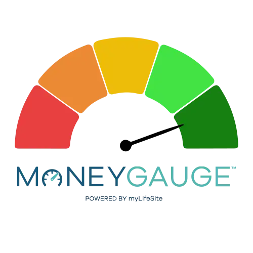 MoneyGauge