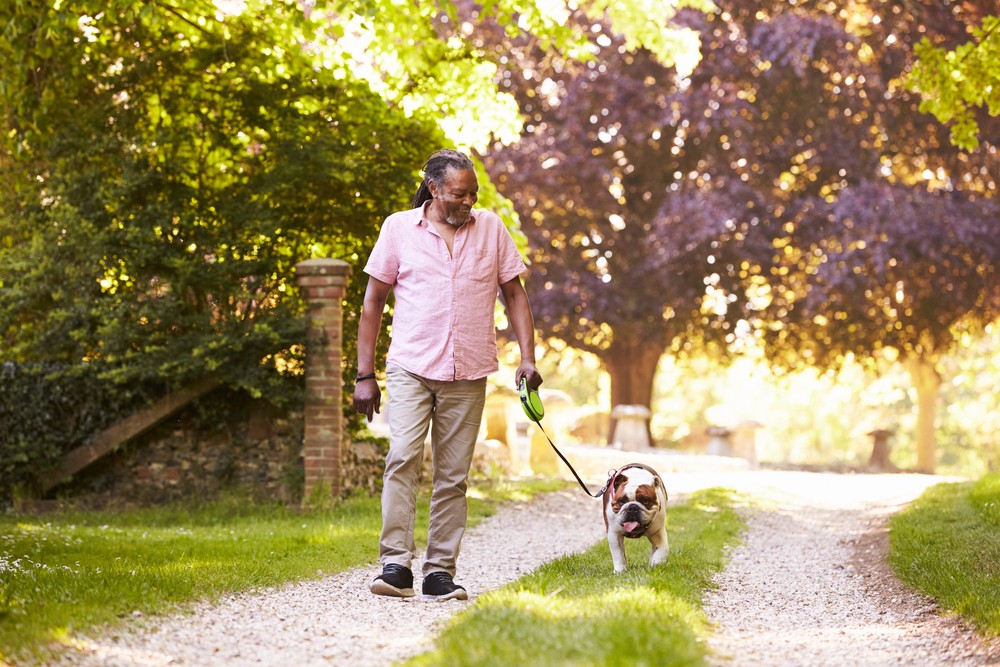 Senior man taking his dog for a walk